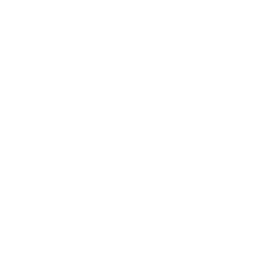 Icon Historique