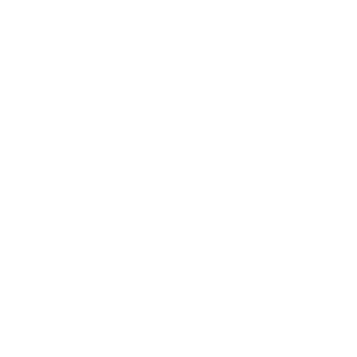 Icon serveur